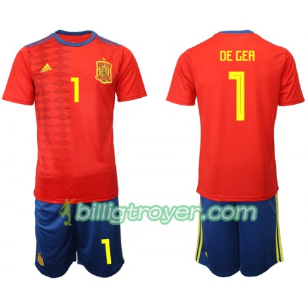 Billige Fotballdrakter Spania DE GEA 1 Barn Hjemmedraktsett 2019 Kortermet